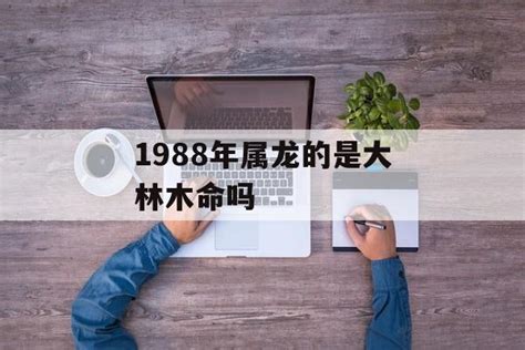 大林木命属龙|大林木命代表什么意思